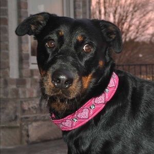 Meet your Posher, Michelle